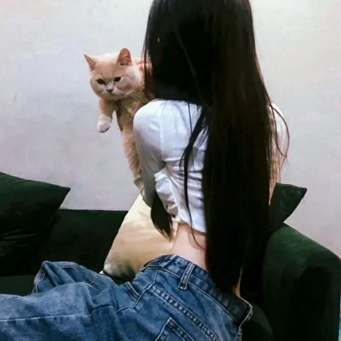 奔向月球